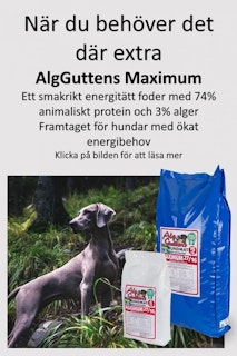 MAXIMUM 27/16 för aktiva hundar och hundar med högre näringsbehov