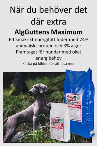 MAXIMUM 27/16 för aktiva hundar och hundar med högre näringsbehov