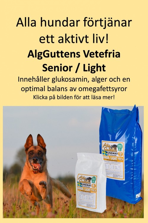 15 kg SENIOR/LIGHT 19/7 vetefritt med glukosamin, för äldre eller överviktiga hundar