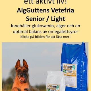SENIOR/LIGHT 19/7 vetefritt med glukosamin, för äldre eller överviktiga hundar