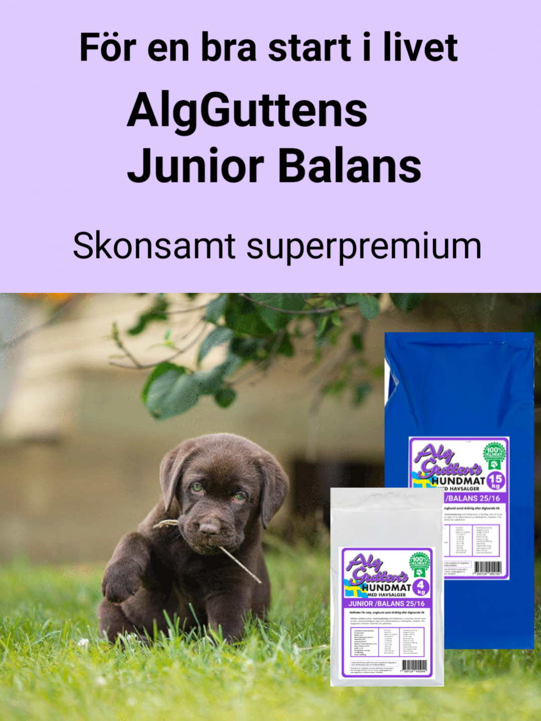 AlgGutten junior balans Svensktillverkat hundfoder med havsalger