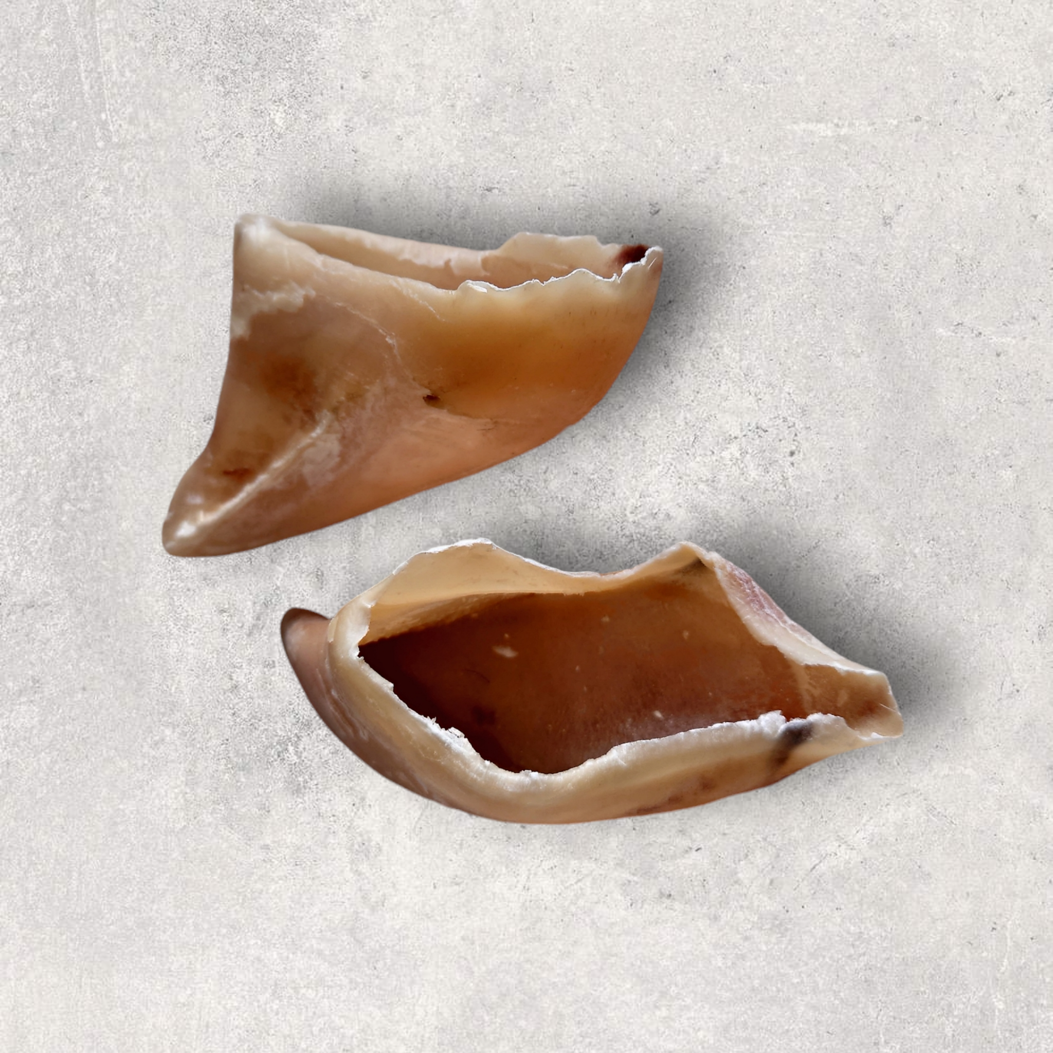 Klövar hundtugg 2pack (svenska nötdjur)