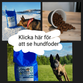 AlgGuttens Hundmat