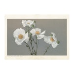 Poster Matilija Poppies 35x50cm