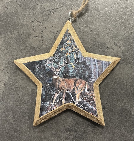 Juldekoration Stjärna