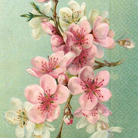 Lunchservetter Sakura