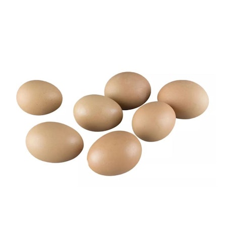Hönsägg Brun