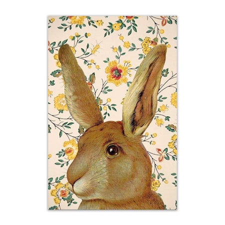 Vykort Hare
