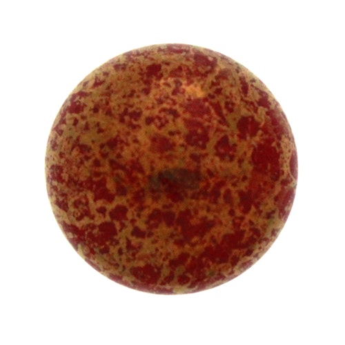 Coral Red Teracota Bronze Cabochon Par Puca 18mm 1st
