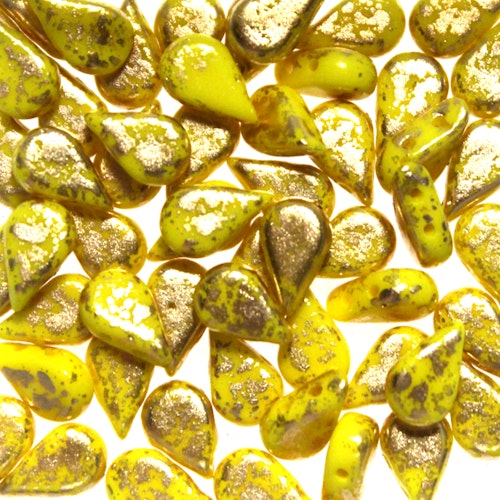 Jonquil Gold Splash Amos 10g