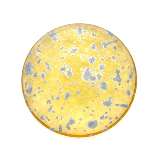 Light Topaz Silver Splash Cabochon Par Puca 25mm 1st