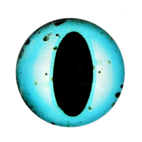 Ögon 26 Cabochon 20mm 1st