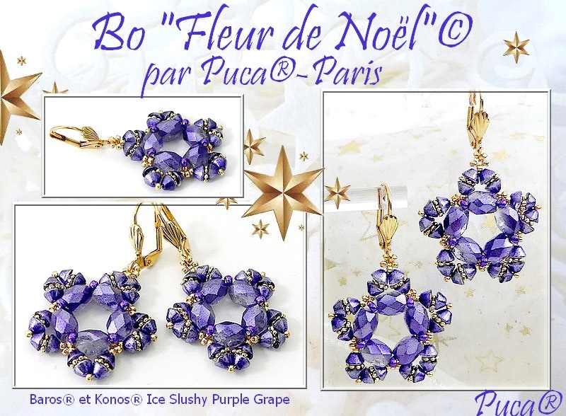 Fleur de Noël Örhängen PDF