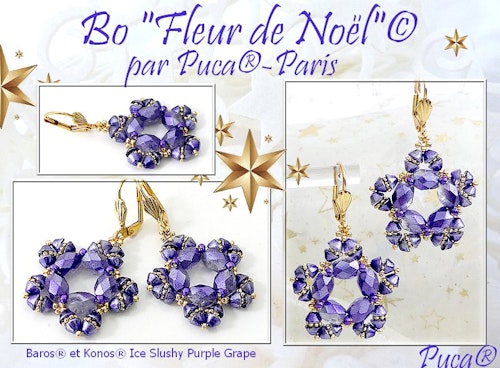 Fleur de Noël Örhängen PDF