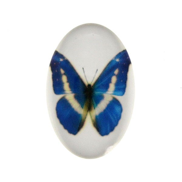 Fjärilar 5 Cabochon 30x20mm 1st