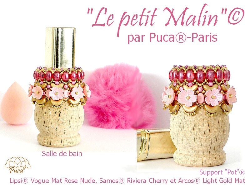 Le petit Malin Vas PDF