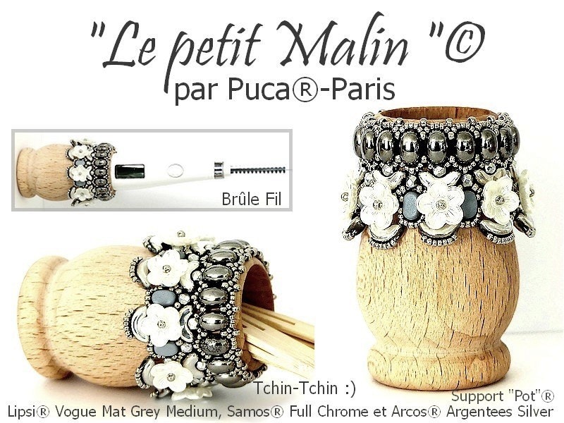 Le petit Malin Vas PDF