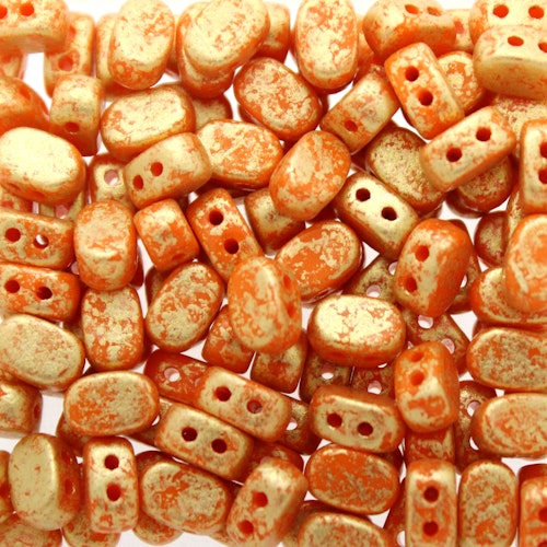 Bright Carrot Gold Splash Lipsi 5g