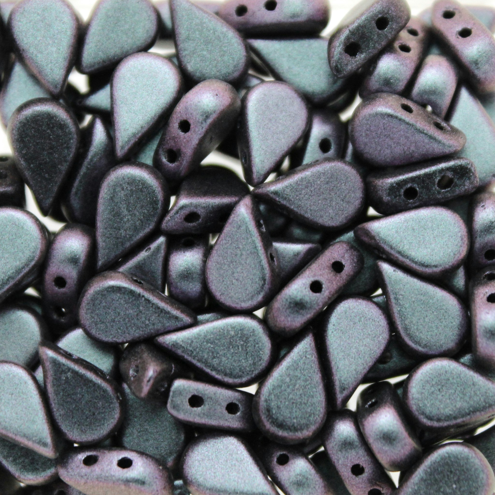 Polynesian Lilac Amos 5g