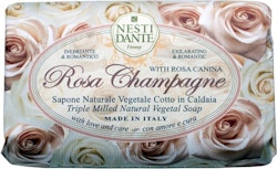 Nesti Dante - Le Rose Champagne