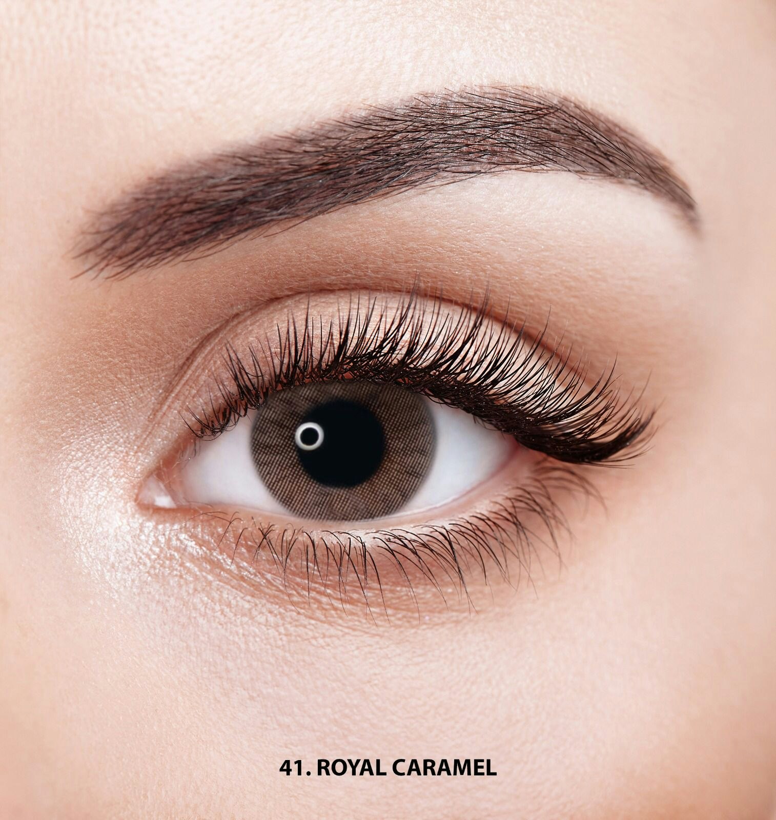 41 Faceloox Royal Caramel Utan Styrka