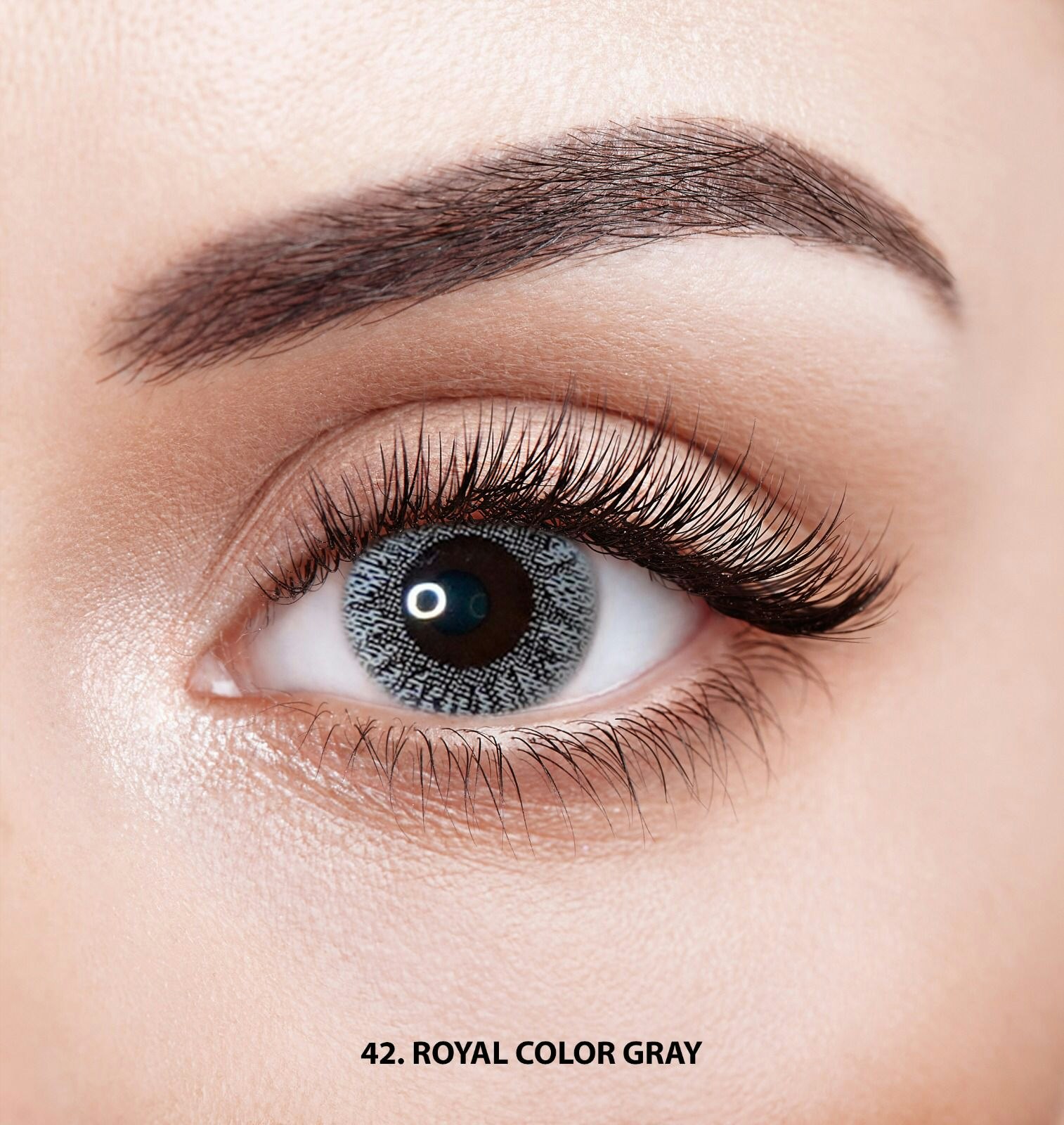 42  Faceloox Royal Color Grey Utan Styrka