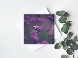 Blomsteräng