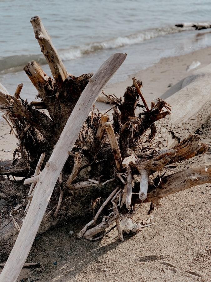 Woodsage & Seasalt
