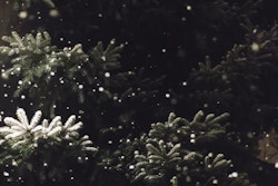 Juletre