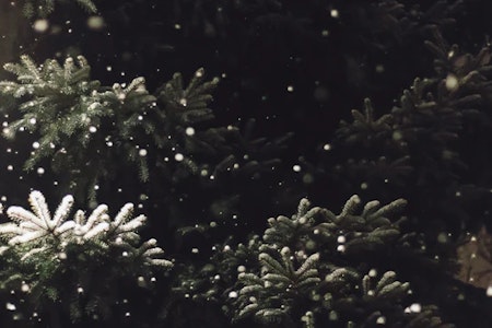 Juletre