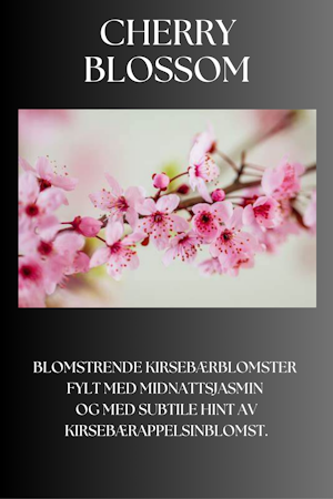 Cherry Blossom