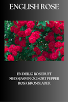 English Rose