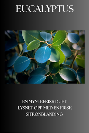 Eucalyptus