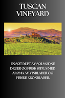 Tuscan Wineyard