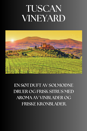Tuscan Wineyard