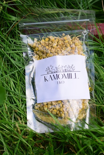 Kamomill te