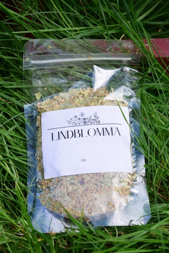 Lindblomma