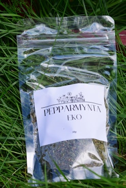 Pepparmynta
