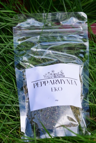 Pepparmynta