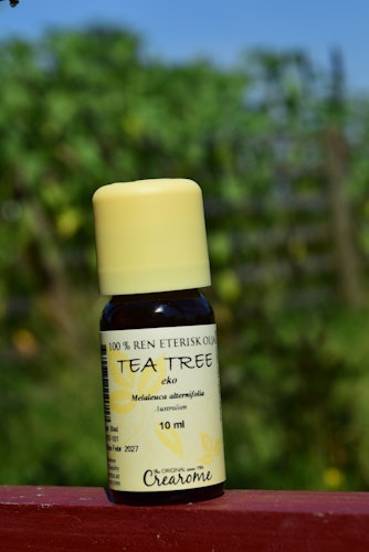Tea tree 10ml