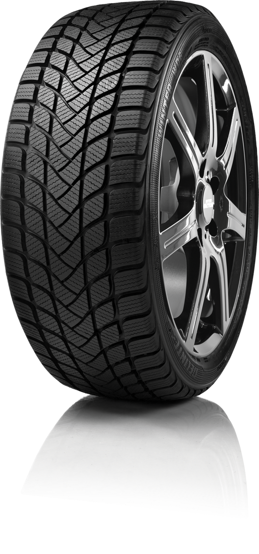 DELINTE 205/55R17 95H WINTER WD6 NC