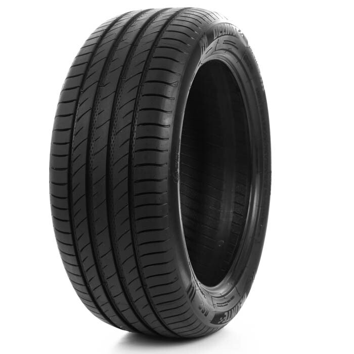 DELINTE 215/60R17 100H DS2