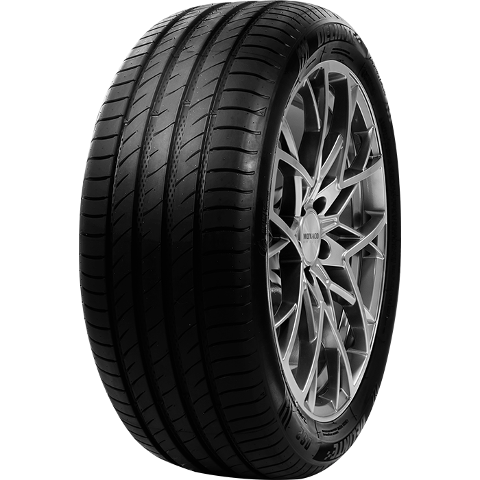 205/55 VR16 TL 91V DELINTE DS2