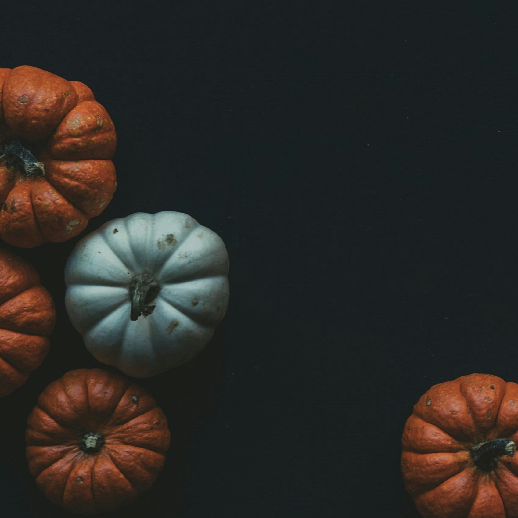 HALLOWEEN - PralinHuset Återförsäljare