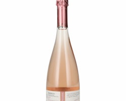 Paladin Prosecco DOC Rosé Brut Millesimato 11,5% Vol. 0,75l