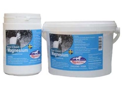 RS Mustang Magnesium