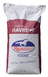 RS Mustang Havre