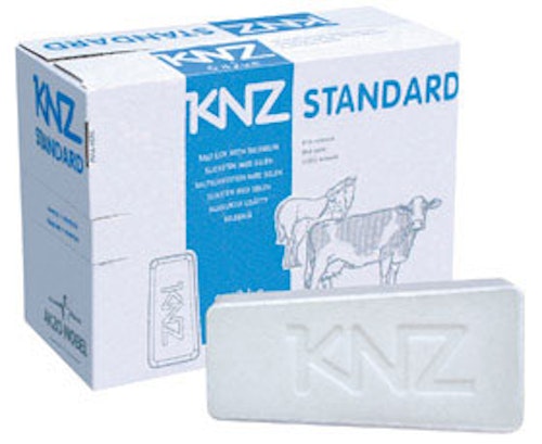 KNZ Saltstenar
