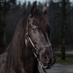 Globus Grimma Rep/Läder