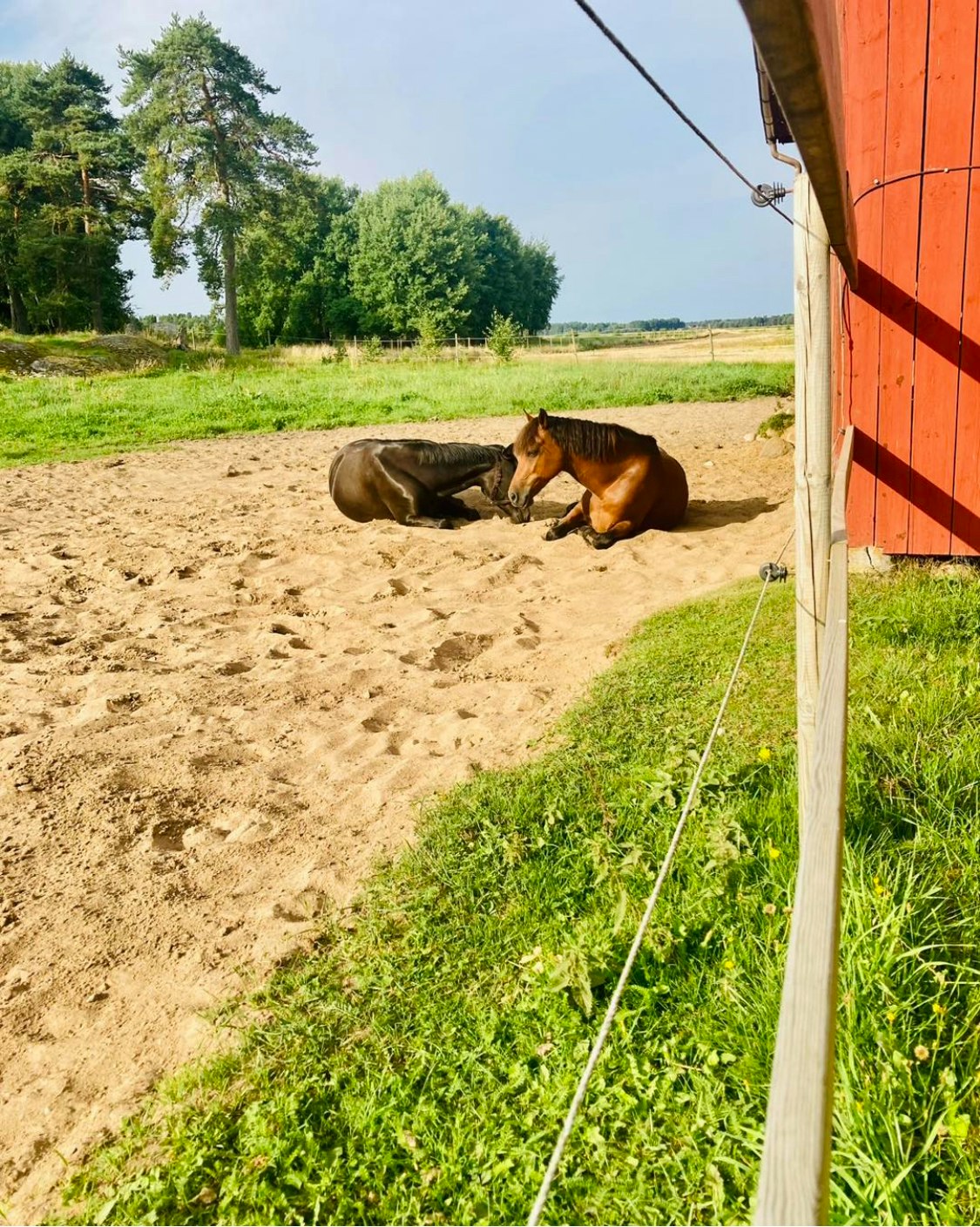 Lösdriftsplats